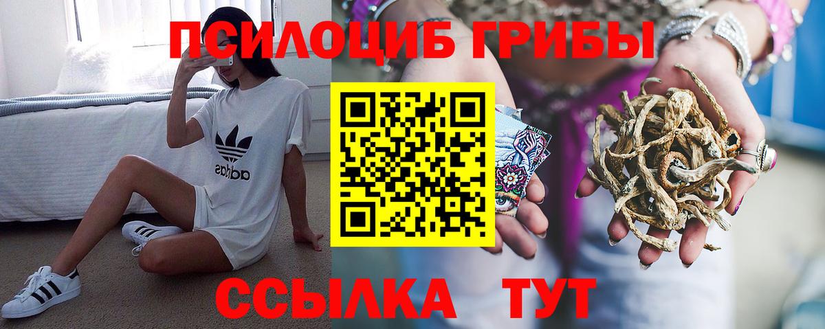 Зеленогорск  Псилоцибиновые грибы мухоморы  Вход с VPN  Псилоцибиновые грибы Cubensis 